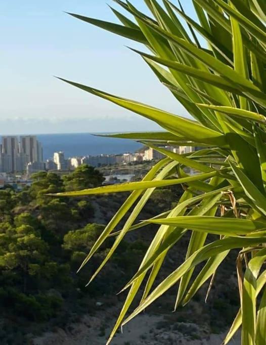 Precioso Y Luminoso En Benidorm Apartment *